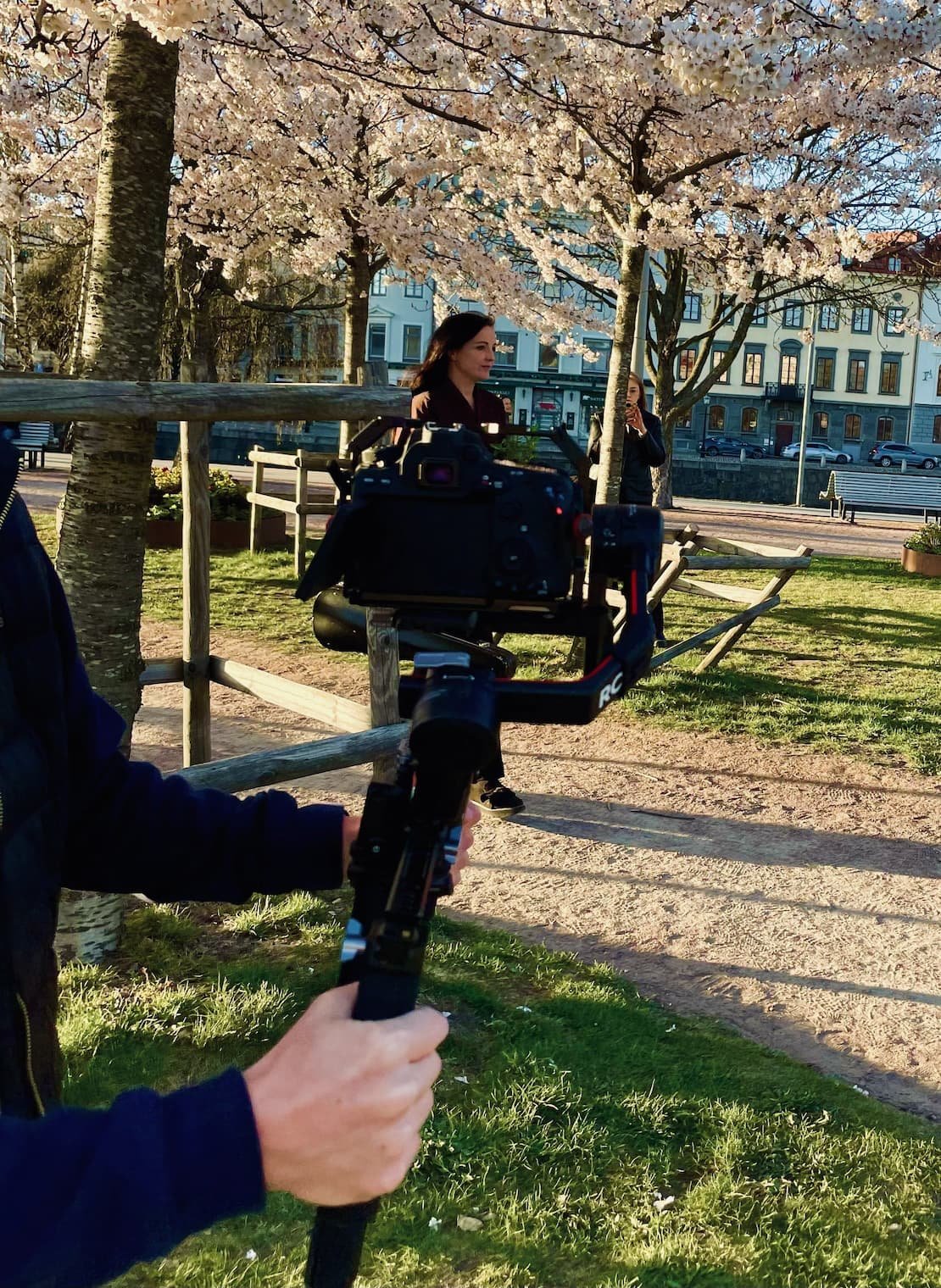 Gimbal
